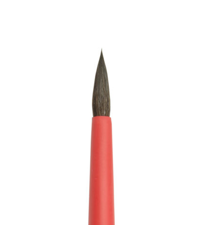 Aqua Red Round 6